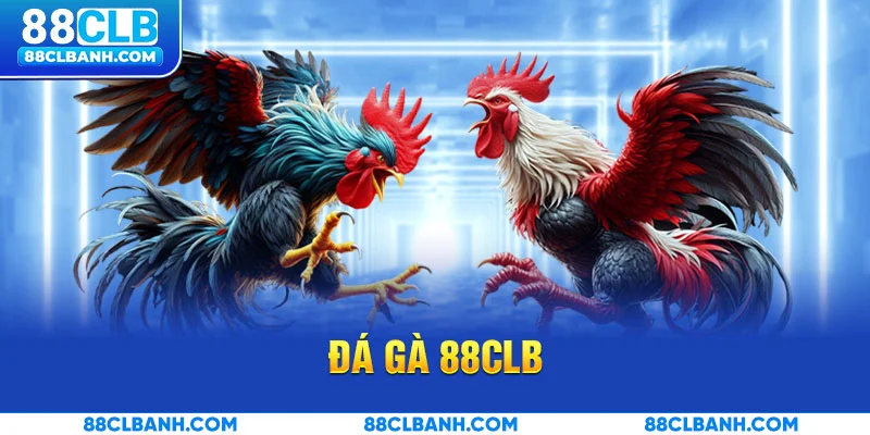 Sơ lược về đá gà 88CLB
