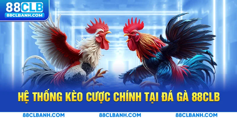 Hệ thống kèo cược chính tại đá gà 88CLB