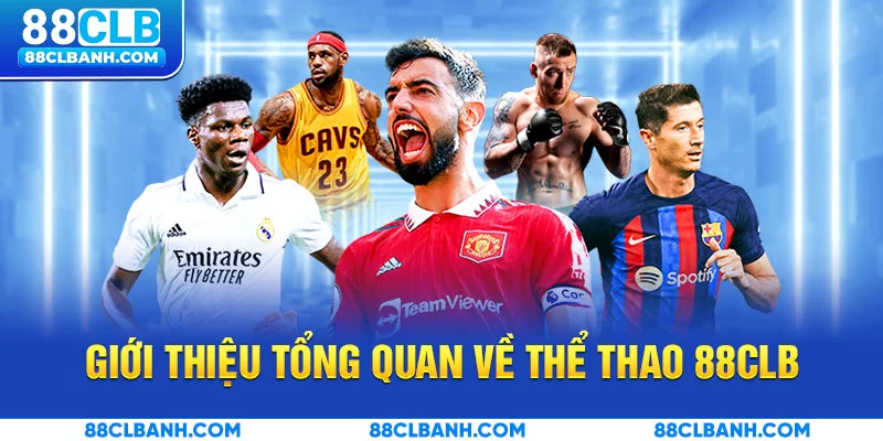Giới thiệu tổng quan về Thể thao 88CLB