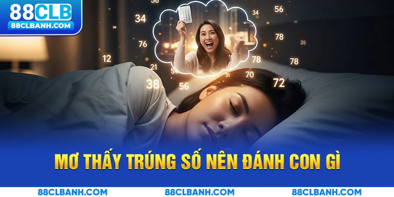 Mơ thấy trúng số nên đánh con gì?