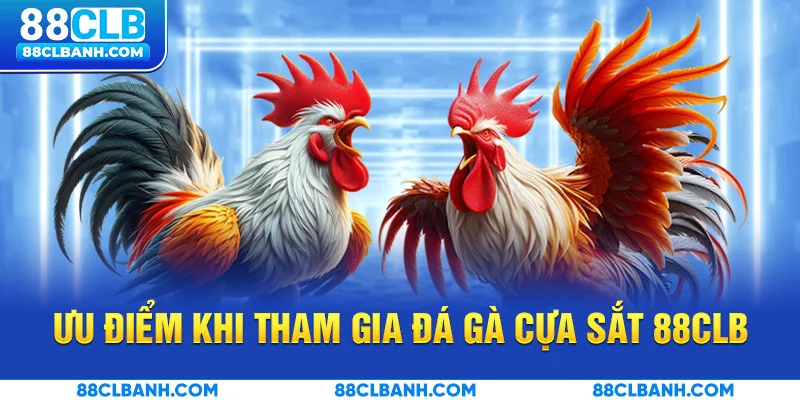 Ưu điểm khi tham gia đá gà cựa sắt tại 88CLB