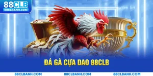 Review tổng quan về đá gà cựa dao tại 88CLB